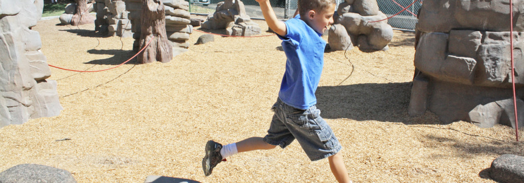 Nature's Choice Rock Playground Equipment