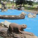 Wilderness Themed Playground