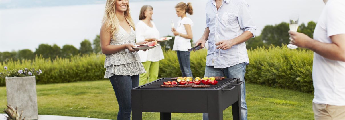 International Picnic Day Saturday June 18th 2016