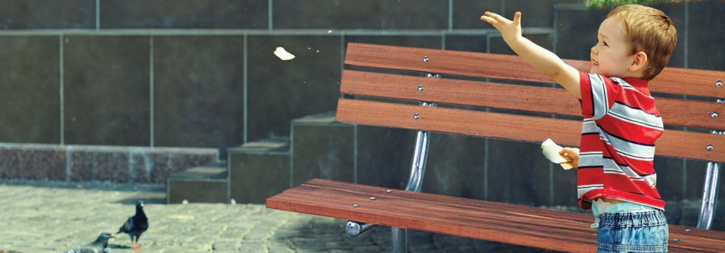 Child Feeding Birds Near Bench
