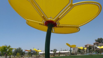 Shade Structures